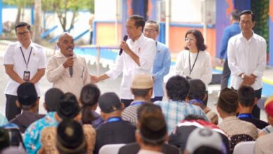 Sri Sultan HB X Apresiasi Langkah Bulog pada Salurkan Bantuan Pangan pada Warga Saat Dikunjungi Presiden