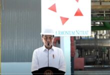 Jokowi Salahkan Pupuk Usai Ramai Produksi Pangan RI Anjlok