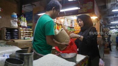 Indonesia Memang Lagi Krisis Beras, Produksi juga Konsumsi Jomplang Selama 8 Siklus Terakhir