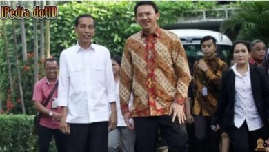 Ahok Ungkap Fakta Mengejutkan! Jokowi Emoh Dipasangkan dengannya di dalam pada Pilgub DKI 2012