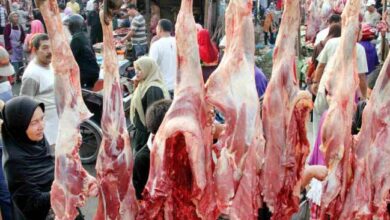 Kuota Impor Daging Sapi Harus Sesuai Rekomendasi Kementan